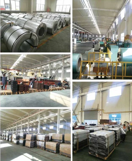 product-449-545 product-449-545